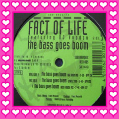 Fact Of Life ft. DJ Voodoo - The Bass Goes Boom (Ibiza House Mix)
