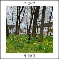 D file - Prisoner