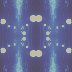 Echoes in the Dark