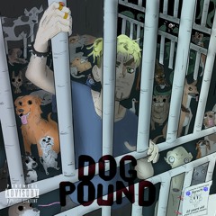 Dog Pound (prod. Preston Mayers X Tenferno)