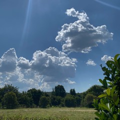 Somewhere In Calabasas