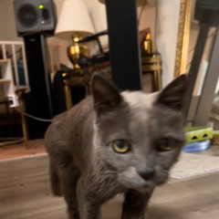 Sunday Recharge_2024-03-24