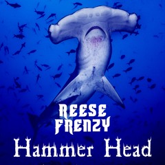 Hammer Head