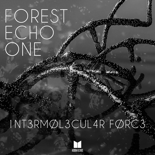 TL PREMIERE : Forest Echo One - Static Signal [Microm Records]
