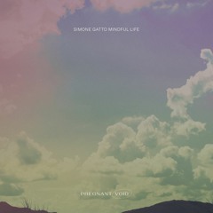 PREMIERE: Simone Gatto - Imaginary Landscapes [Pregnant Void]