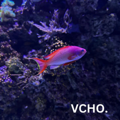 FISH|VCHO