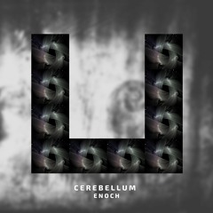 Cerebellum - Enoch