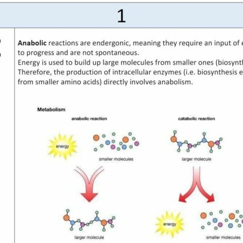 Stream Ib Chemistry Exam Style Questions Answers Topic 2 HOT By David stream-ib-chemistry-exam-style-questions-answers-topic-2-hot-by-david