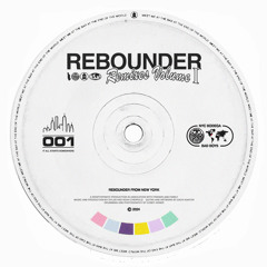 Dreamland (Leo Kobuta of Bleu Toucan Remix)