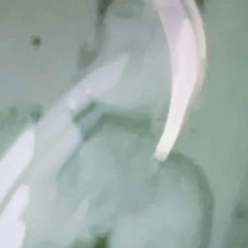 Noisejit x Mina Mills 003
