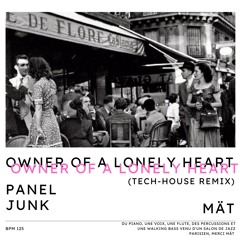Panel Junk - Owner of a lonely heart (MÄT Remix)