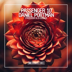 Passenger 10 & Daniel Portman - Freedom Is a Choice