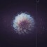 ØWEN-Leave