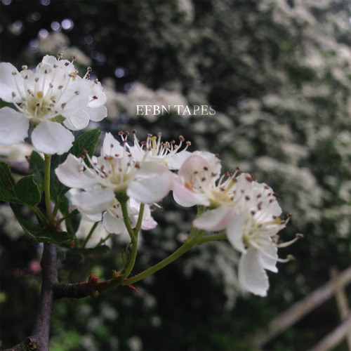 Stream Blank Tapes By From Indian Lakes Listen Online For Free On Soundcloud