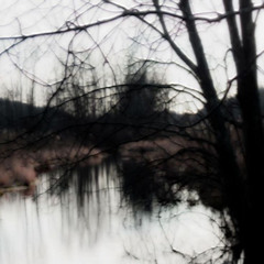 zaya! - no one cares until you die