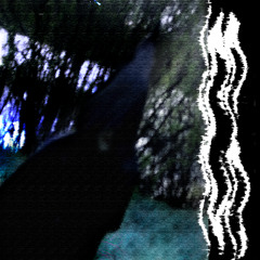 hppdj - night