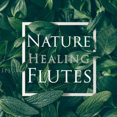 Nature Healing Flutes - 432Hz Frequencies