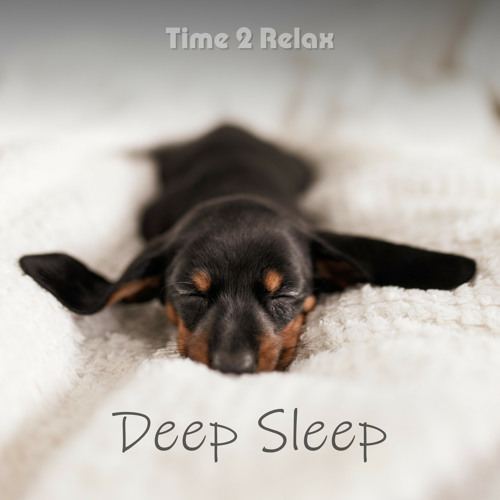 Deep Sleep