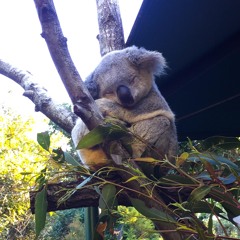 star-crossed [unfinished]