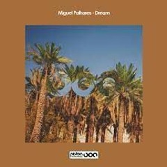 Miguel Palhares - Dream - (Luis Bravo's Limbo Remix) (preview)