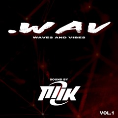 Waves And Vibes vol. 1 by NiiK