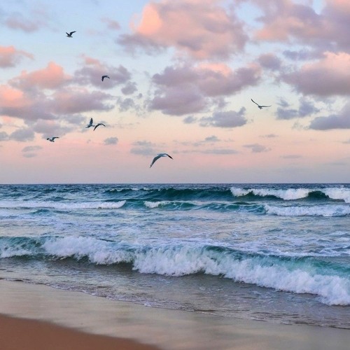 طاير يا هوا