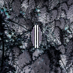 pricklypearsound || Black Sky