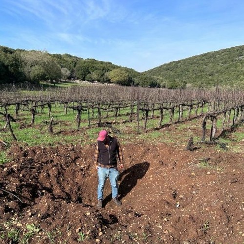 פרק 97 - יין ומלחמה