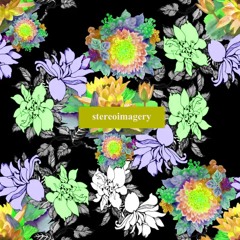 Daisy Chopped - Stereoimagery