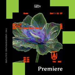 PREMIERE: Gumm - Don't DJ [TAU]