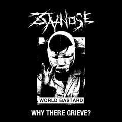 crust/powerviolence/hardcore