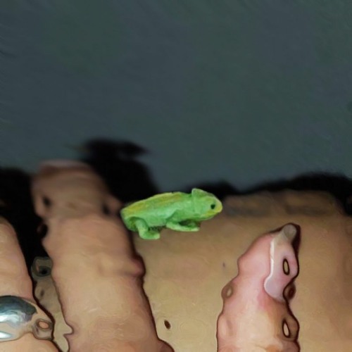 Selfscare 2 (tj0ki & jp'♡ | Stranded FM