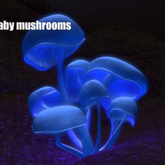 Baby Mushrooms - Sound of the crowd