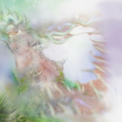 Halcyon Run