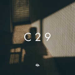 C29 | Ambient Atmospheric Mix