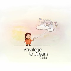Privilege To Dream (B-Side)