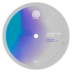 PREMIERE: Information Ghetto - Benjamine Harmonics