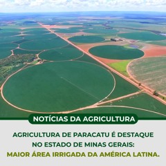 AGRICULTURA de PARACATU é destaque no Estado de MINAS GERAIS: Maior área irrigada da América Latina.