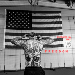 FREEDOM (prod. Sned)