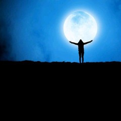 WILD DROP-INTO THE MOON