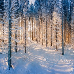 joke song (blickyhomeboy)