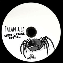 Pendulum - Tarantula Speed Garage Bootleg (Preview)