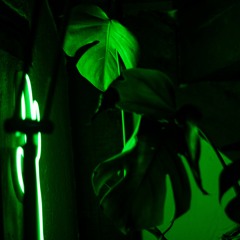 Wild Afrobeats #1 (Jurassic Teaser)