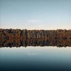 Lights & Motion - Wolves (ft. Johan Hasselblom)