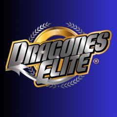 STEEL DRAGONS 2025 (ver.2)