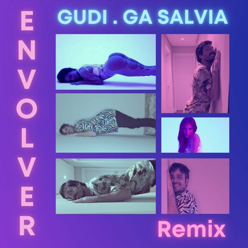 Envolver (Ga Salvia & GUDI Remix)- pitched down due copyrights