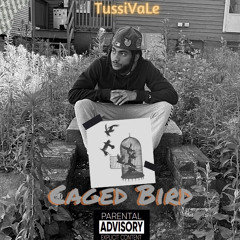 TussiVale x _CagedBird_
