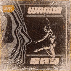 Wanna Say (Original Mix)