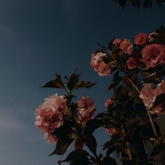 ‎⁨القارئ عبدالله القرعاوي ( سورة الفرقان ) ⁩