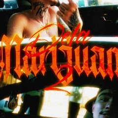 WS Gang 🩸